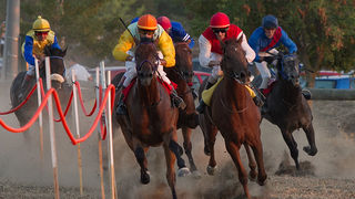 Polača: 14. Međunarodne konjičke utrke “Oluja 95”, Foto: Leo Banić Polača: 14. Međunarodne konjičke utrke “Oluja 95”, Foto: Leo Banić