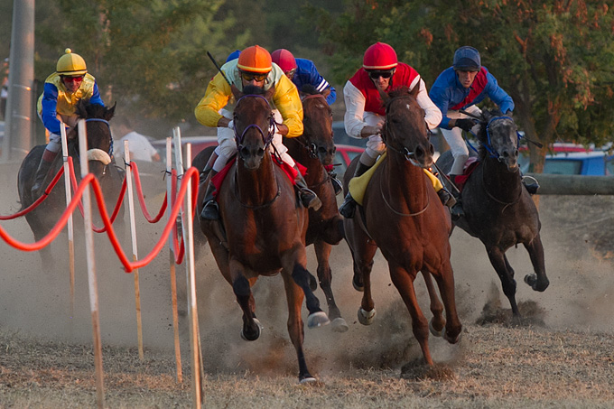 Polača: 14. Međunarodne konjičke utrke “Oluja 95”, Foto: Leo Banić Polača: 14. Međunarodne konjičke utrke “Oluja 95”, Foto: Leo Banić