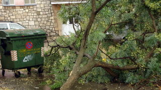 18.7.2009. Posljedice nevremena u ul. F. Tudjmana i B.J.Jelacica u Zadru 18.7.2009. Posljedice nevremena u ul. F. Tudjmana i B.J.Jelacica u Zadru