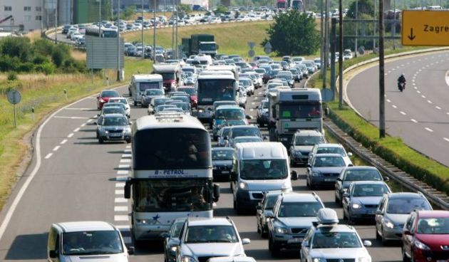 Lučko-gužva ( foto Cropix)