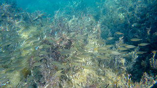 OLYMPUS DIGITAL CAMERA OLYMPUS DIGITAL CAMERA