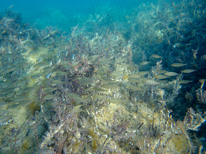 OLYMPUS DIGITAL CAMERA OLYMPUS DIGITAL CAMERA