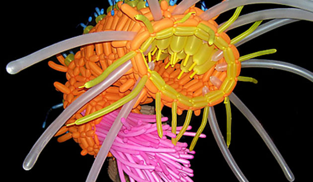 Jason Hackenwerth, baloni(Foto:gigantico.com)