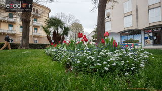Đir po gradu, ponedjeljak 9. travnja 2018. Đir po gradu, ponedjeljak 9. travnja 2018.