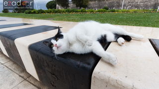 Đir po gradu, srijeda 13. prosinca 2017.