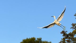 Bajkovito jesensko jutro u Parku prirode Vransko Jezero Bajkovito jesensko jutro u Parku prirode Vransko Jezero