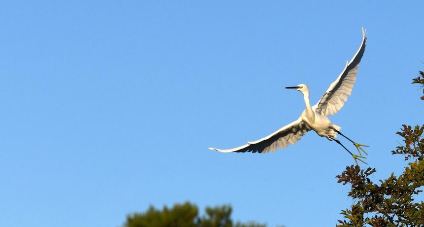 Bajkovito jesensko jutro u Parku prirode Vransko Jezero