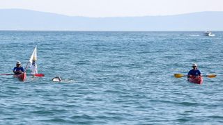 Dina Levačić otplivala humanitarni maraton između Trogira i Splita za Udrugu Anđeli. Foto: Miranda Cikotić/PIXSELL Dina Levačić otplivala humanitarni maraton između Trogira i Splita za Udrugu Anđeli. Foto: Miranda Cikotić/PIXSELL