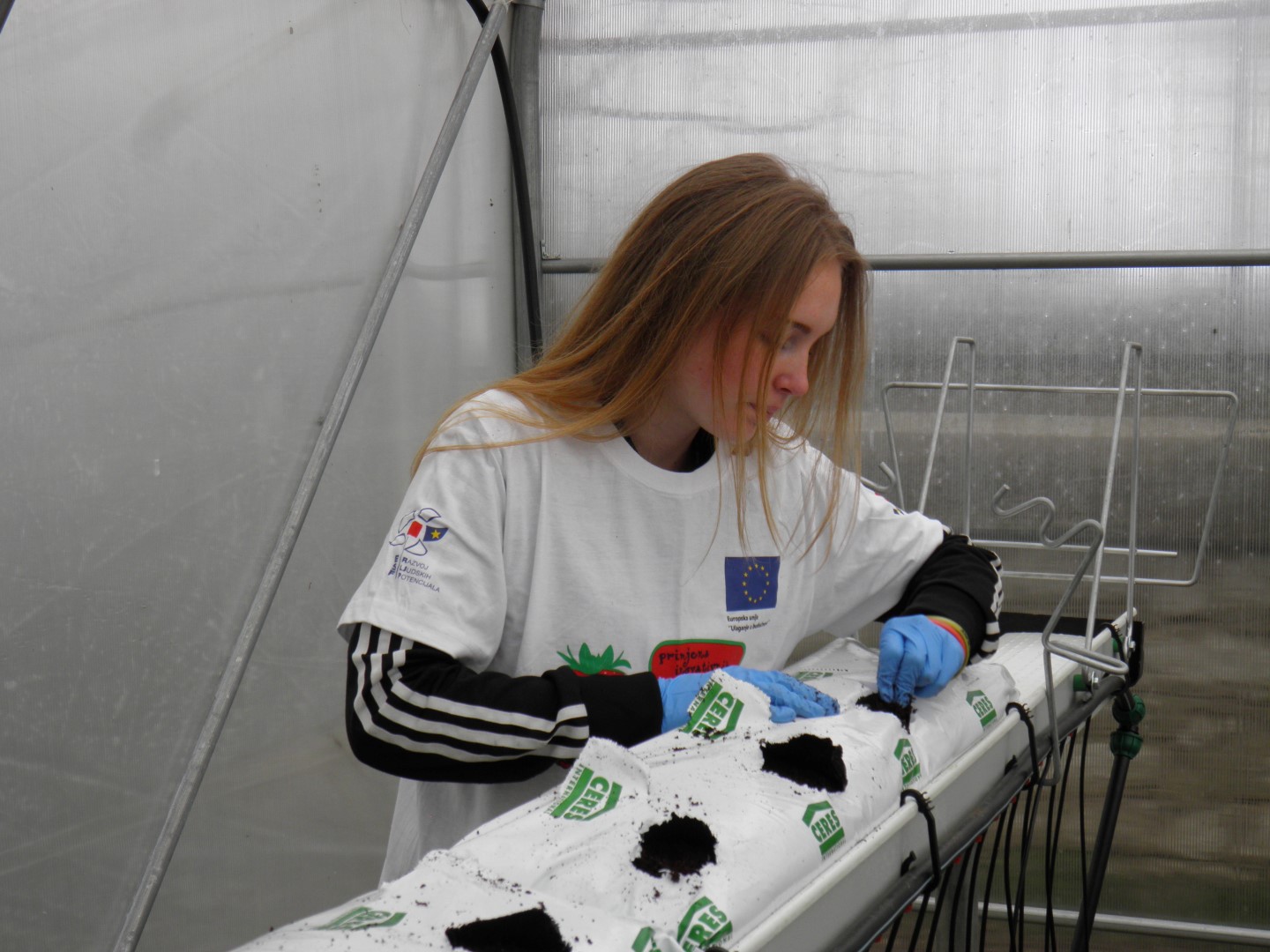 OLYMPUS DIGITAL CAMERA OLYMPUS DIGITAL CAMERA