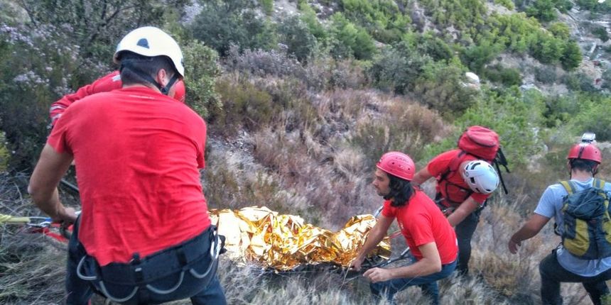 Image 1444775 (auto)