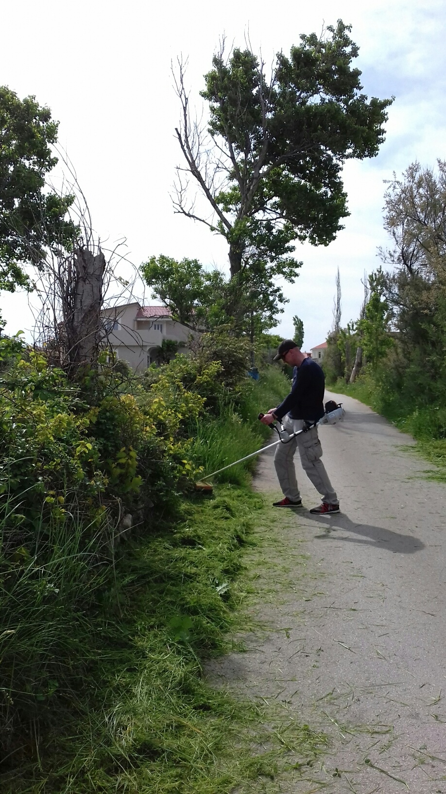 Akcije čišćenja i uređenja Vlašića na otoku Pagu