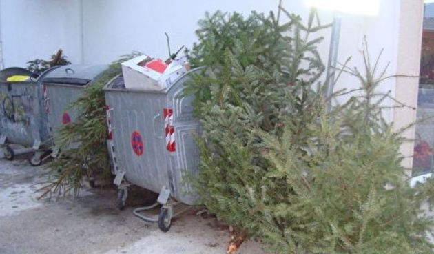 Bačena božićna drvca, Foto: Radio Zadar