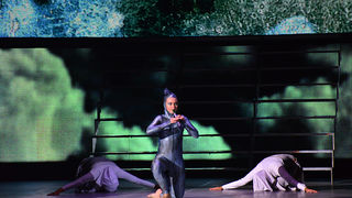 Lord of the dance, foto:Iva Perinčić Lord of the dance, foto:Iva Perinčić