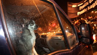 Zagreb, 040311.
Ilica.
Peti po redu, protuvladin prosvjed tzv. facebook grupe.
Na fotografiji: Prosvjednici ispred zgrade HRT-a
Foto: Tomislav Kristo / CROPIX Zagreb, 040311.
Ilica.
Peti po redu, protuvladin prosvjed tzv. facebook grupe.
Na fotografiji: Prosvjednici ispred zgrade HRT-a
Foto: Tomislav Kristo / CROPIX