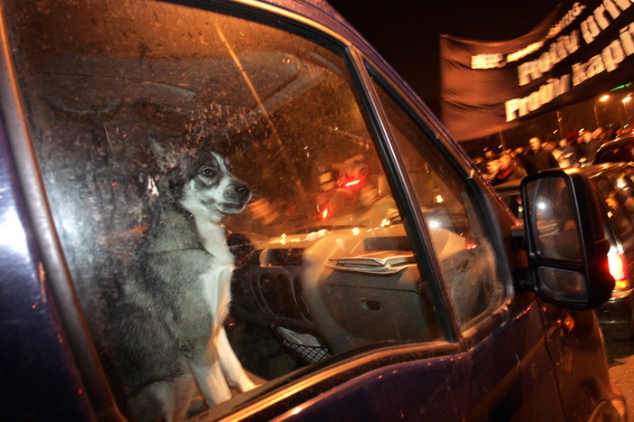 Zagreb, 040311.
Ilica.
Peti po redu, protuvladin prosvjed tzv. facebook grupe.
Na fotografiji: Prosvjednici ispred zgrade HRT-a
Foto: Tomislav Kristo / CROPIX Zagreb, 040311.
Ilica.
Peti po redu, protuvladin prosvjed tzv. facebook grupe.
Na fotografiji: Prosvjednici ispred zgrade HRT-a
Foto: Tomislav Kristo / CROPIX