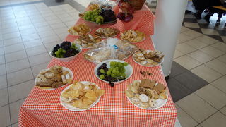 Obilježen dan Općine Lišane Ostrovičke