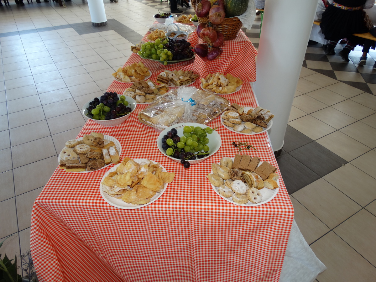 Obilježen dan Općine Lišane Ostrovičke