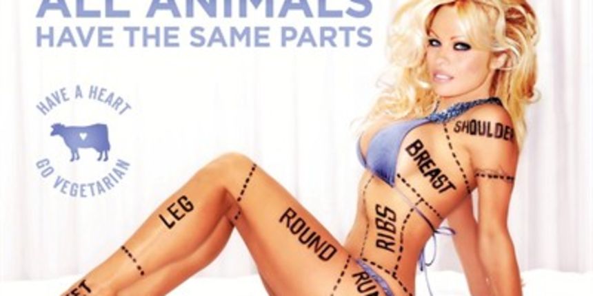 Pamela Anderson Pamela Anderson