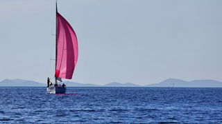 Image 441323 (auto) Image 441323 (auto)