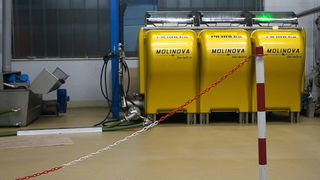 Put masline od stabla do djevicanskog ulja, Foto: Leo Banic Put masline od stabla do djevicanskog ulja, Foto: Leo Banic