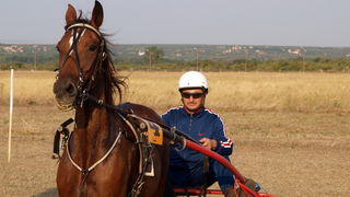 Polaca, utrke konja Oluja 95 Polaca, utrke konja Oluja 95