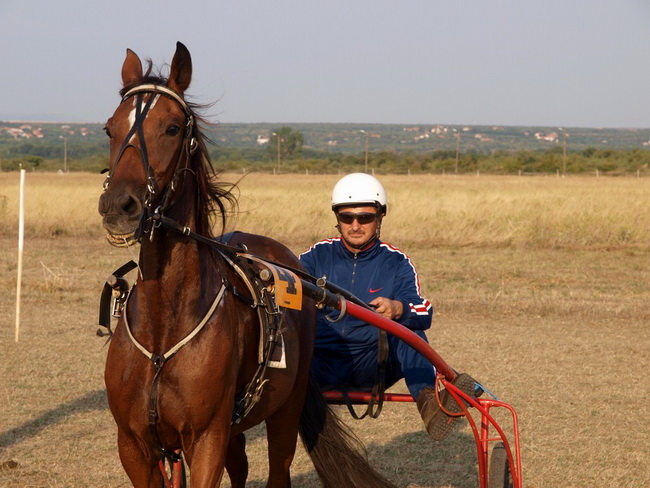 Polaca, utrke konja Oluja 95 Polaca, utrke konja Oluja 95