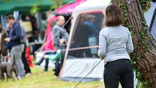 16. Međunarodna izložba pasa CACIB Zadar – Prvak prvaka 2016. 16. Međunarodna izložba pasa CACIB Zadar – Prvak prvaka 2016.