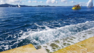 Zadarska Koka 2016. 22. listopada 2016. Foto: Mladen Malik Zadarska Koka 2016. 22. listopada 2016. Foto: Mladen Malik