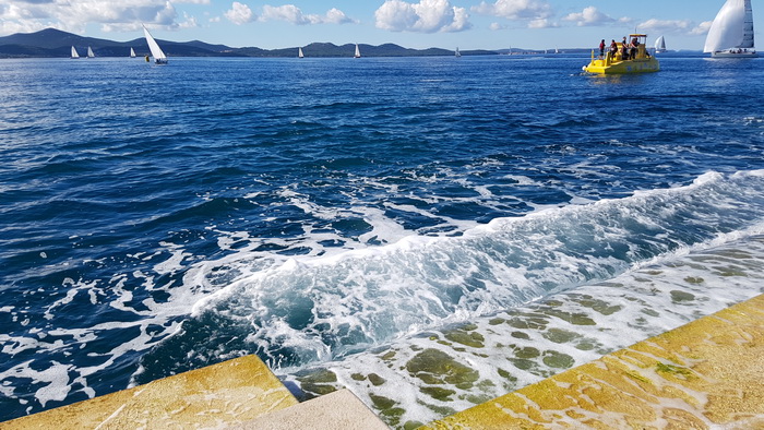 Zadarska Koka 2016. 22. listopada 2016. Foto: Mladen Malik Zadarska Koka 2016. 22. listopada 2016. Foto: Mladen Malik