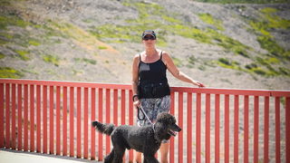 Mario Možnik i njegovi kolege sportaši otvorili su sezonu Bungee Jumpinga sa starog Masleničkom mosta