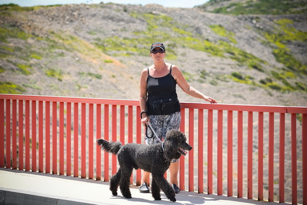 Mario Možnik i njegovi kolege sportaši otvorili su sezonu Bungee Jumpinga sa starog Masleničkom mosta