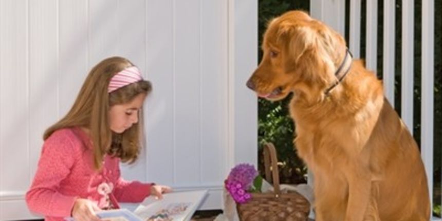 Zašto djeca danas sve manje čitaju?