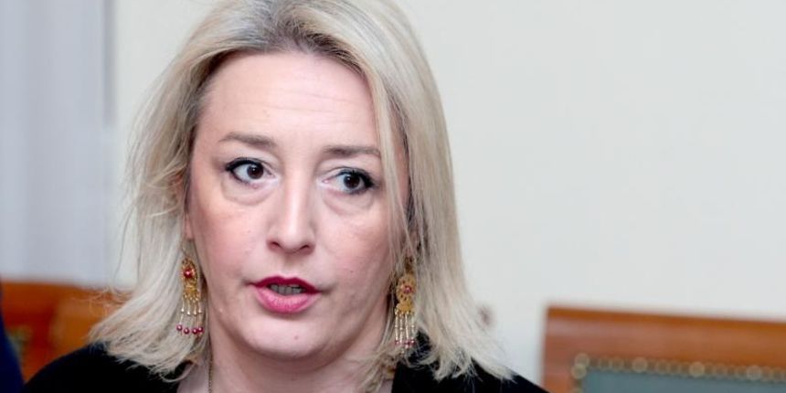 U Saboru je povodom Medjunarodnog dana ljudskih prava odrzana konferencija Daleko od grada – i od prava? – Ljudska prava u ruralnim podrucjima. Konferenciju je organizirala pucka pravobraniteljica Lora Vidovic, u suradnji s pravobraniteljicom za ravnoprav