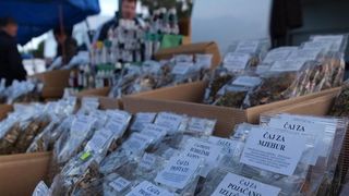 Benkovački sajam, 10. siječnja 2010. (foto: Vedran Penga)