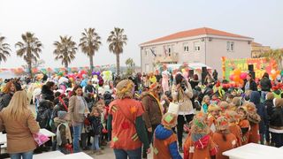 Virski Karnevalić 2017.