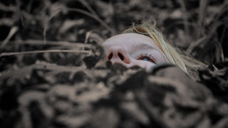 Sjeverni Velebit i Lika u jesen Sjeverni Velebit i Lika u jesen