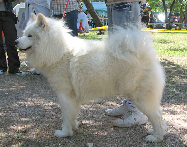 Image 1171079 (auto)