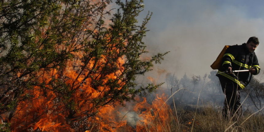 Pozar Bokanjac, Foto: Jure Miskovic / CROPIX Pozar Bokanjac, Foto: Jure Miskovic / CROPIX