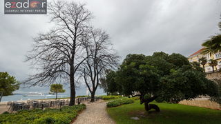 Đir po gradu, srijeda 13. prosinca 2017.