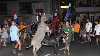 Tisno: 6. Međunarona “Trka tovarov”, Foto: Edin Kadić Tisno: 6. Međunarona “Trka tovarov”, Foto: Edin Kadić
