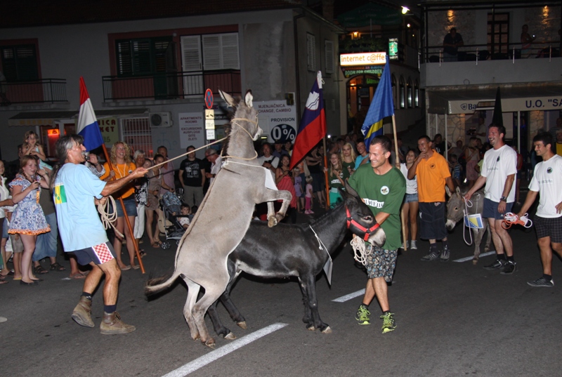Tisno: 6. Međunarona “Trka tovarov”, Foto: Edin Kadić Tisno: 6. Međunarona “Trka tovarov”, Foto: Edin Kadić