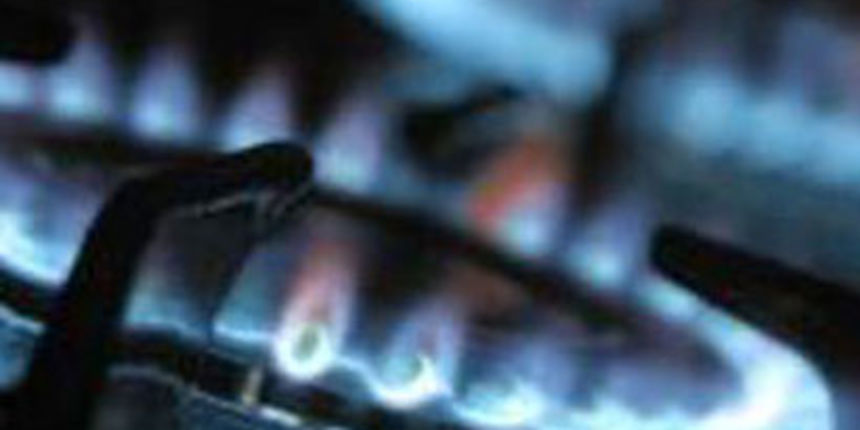 plin (totalportal.hr)