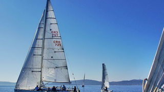 “Zadarska koka”: Regata za sve generacije snimljena iz “koke” “Zadarska koka”: Regata za sve generacije snimljena iz “koke”