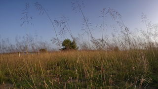 Zaton; solana Nin, foto-L. Kvarantan