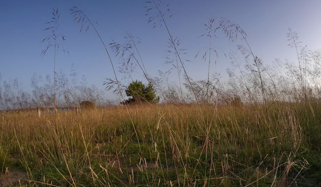 Zaton; solana Nin, foto-L. Kvarantan