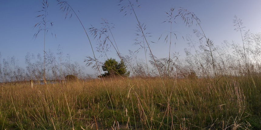 Zaton; solana Nin, foto-L. Kvarantan