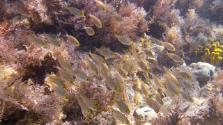 OLYMPUS DIGITAL CAMERA OLYMPUS DIGITAL CAMERA