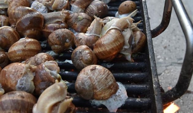 U sklopu Benkovackog kulturnog ljeta Grad Benkovac i Turisticka zajednica Grada Benkovca vec cetvrtu godinu za redom organiziraju manifestaciju Puzevim korakom. Radi se o gastro manifestaciji pripreme i degustacije puzeva. Posjetitelji su imali prilike d