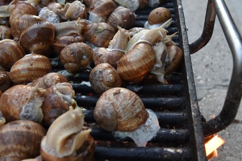 U sklopu Benkovackog kulturnog ljeta Grad Benkovac i Turisticka zajednica Grada Benkovca vec cetvrtu godinu za redom organiziraju manifestaciju Puzevim korakom. Radi se o gastro manifestaciji pripreme i degustacije puzeva. Posjetitelji su imali prilike d U sklopu Benkovackog kulturnog ljeta Grad Benkovac i Turisticka zajednica Grada Benkovca vec cetvrtu godinu za redom organiziraju manifestaciju Puzevim korakom. Radi se o gastro manifestaciji pripreme i degustacije puzeva. Posjetitelji su imali prilike d