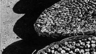 Braća Brkan: Slike sna i svjetlosti Braća Brkan: Slike sna i svjetlosti